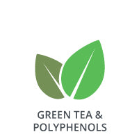 Green Tea and Polyphenols